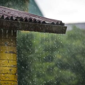 Manfaat Air Hujan Bagi Kesehatan dan Kehidupan Manusia