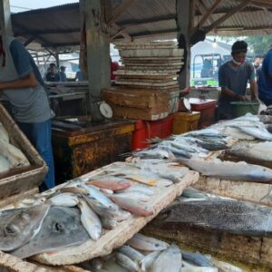 hewan dibawah ini walau sudah mati tetapi halal untuk dimakan adalah