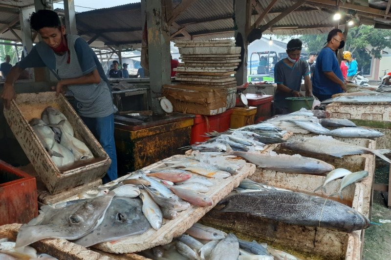 hewan dibawah ini walau sudah mati tetapi halal untuk dimakan adalah
