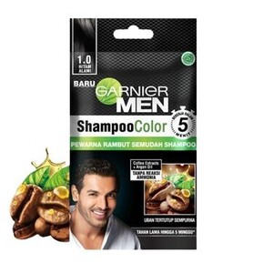 Garnier Men Shampoo Color Developer