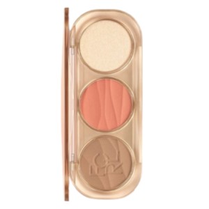 Cek Halal Focallure 3 In 1 Palette PP03