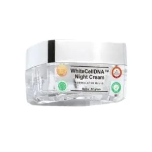 Cek Halal Ms Glow Whitecelldna Night Cream
