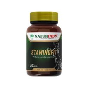 Cek Halal Staminofit