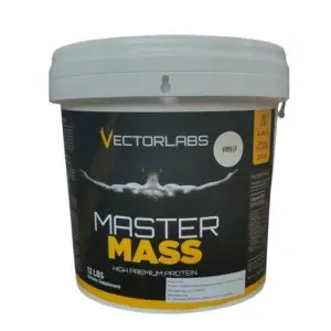 Cek Halal Vectorlabs Mastermass Pangan Tambahan Untuk Olahragawan Berbasis Protein Rasa Vanila