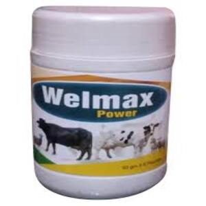 Cek Halal Welmax BPOM