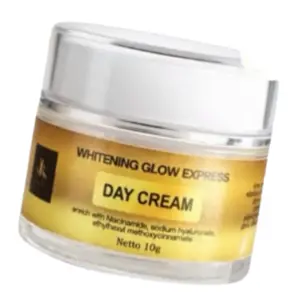 Cek Halal Yrs Skincare Whitening Glow Express Day Cream BPOM