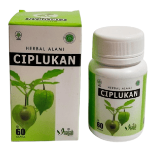 Cek Halal Ciplukan BPOM