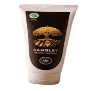 Cek Halal Bangley Rempah Cream BPOM