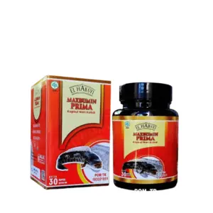 Cek Halal El Habsyi Maxbumin Prima BPOM