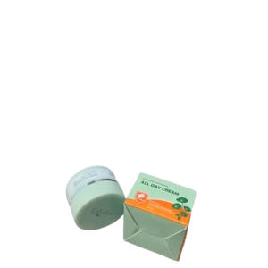 Cek Halal Dizhav Premium Whitening All Day Cream BPOM