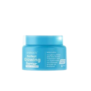 Cek Halal Nrw Shine Make You Shine Night Cream Perfect Barier Glow BPOM