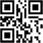 QR Code BPOM – POWDER BLUSH PK02 oleh PINKFLASH (NA11241201237)
