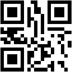 QR Code BPOM - High Coverage Concealer R1072  10# oleh SANIYE (NA11260300168)