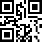 QR Code BPOM - Dynamatte Lip Cream Teenage Dream oleh SALSA (NA18241300053)